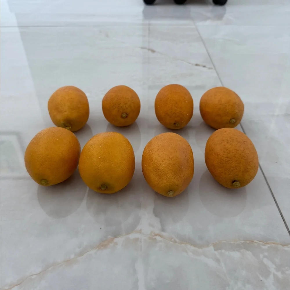 8 Real Looking Artificial Lemons for Decor